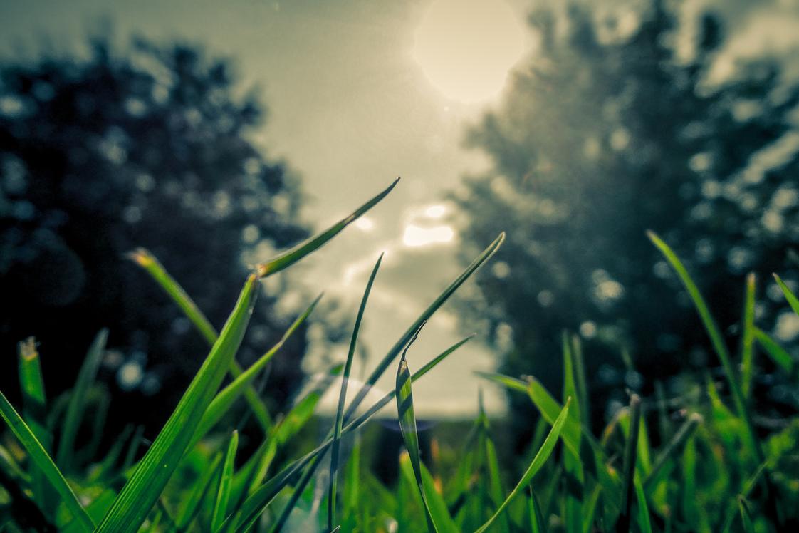 Eaque ut ut nemo libero